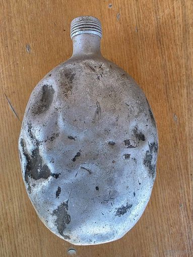 ФЛЯЖКА ГАНСЫ