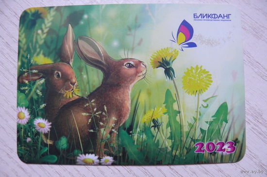 Календарик, 2023, Бликфанг. Цифровая и овсетная печать (заяц, бабочка, ромашка, одуванчик).