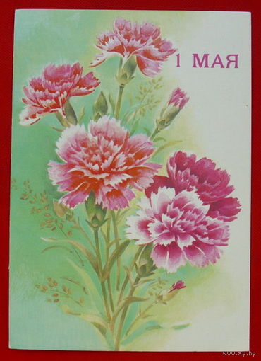 1 Мая! 1990 года. Дергилев.