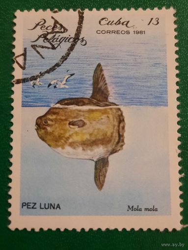 Куба 1981. Фауна. Рыбы. Рыба-Луна. Марка из серии