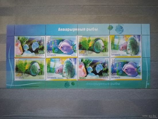 Беларусь. 2006г. Аквариумные рыбы.