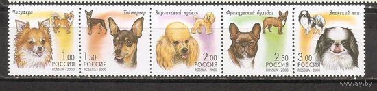 ФФ1 Россия 2000 Собаки