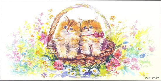 Рисунки котята