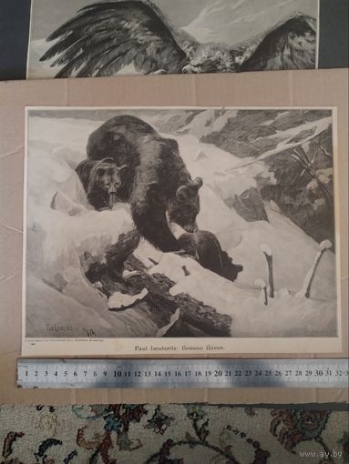 Гравюра немецкого художника. 19 в.
