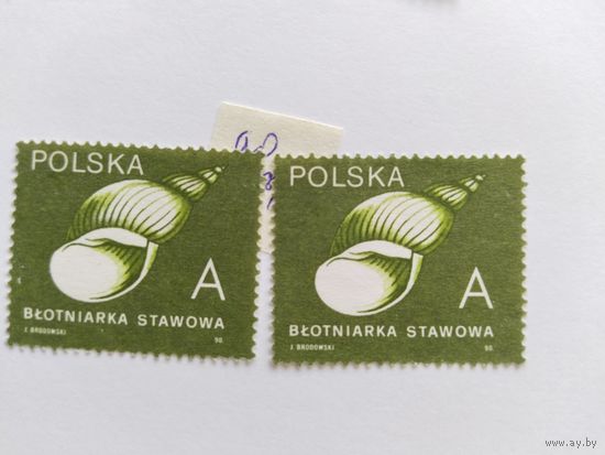 Польша 1990 ракушки