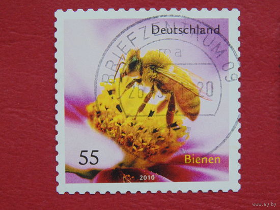 Германия. 2010 г. Пчела.