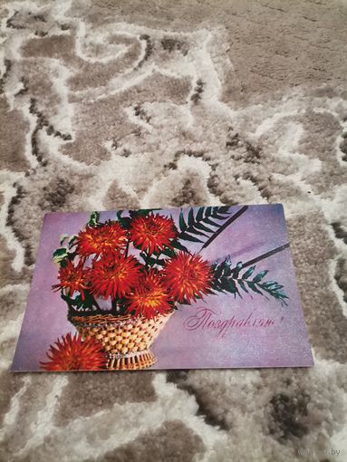 Открытка Поздравляю чистая 1973