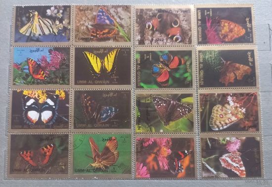 ОАЭ. Фауна. Бабочки.