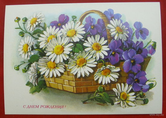 С днём рождения! Чистая. 1980 года. Куртенко. 1554.