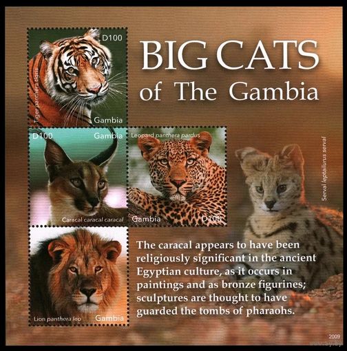 2020 Гамбия 7815-7818KL Кошки - Леопард, Тигр, Лев 20,00 евро