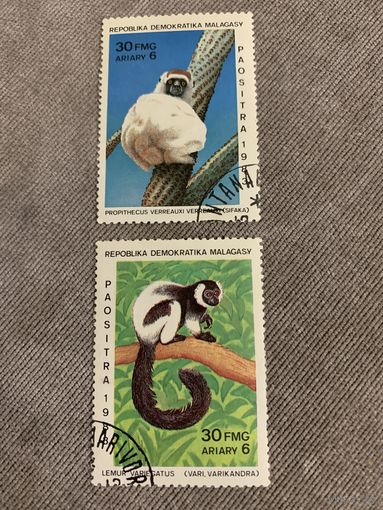 Мадагаскар 1983. Лемуры. Марки из серии