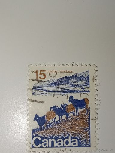 Канада 1972 год Снежный баран Западная Канада