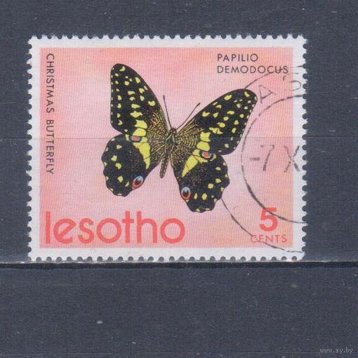 [1421] Лесото 1973. Фауна.Бабочка.5 с. Гашеная марка.