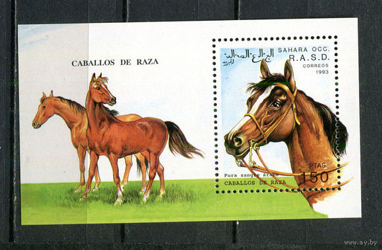 Сахара - 1993 - Лошади - 1 блок. MNH.  (Лот 93HG)-T41P40