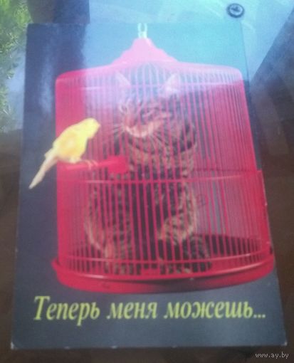 Теперь меня можешь
