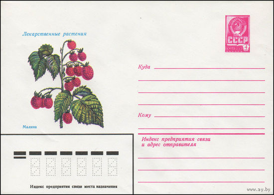 Художественный маркированный конверт СССР N 13849 (09.10.1978) Лекарственные растения Малина