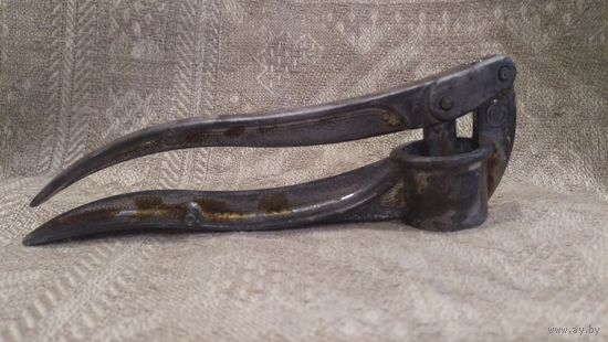 Чесночница СССР