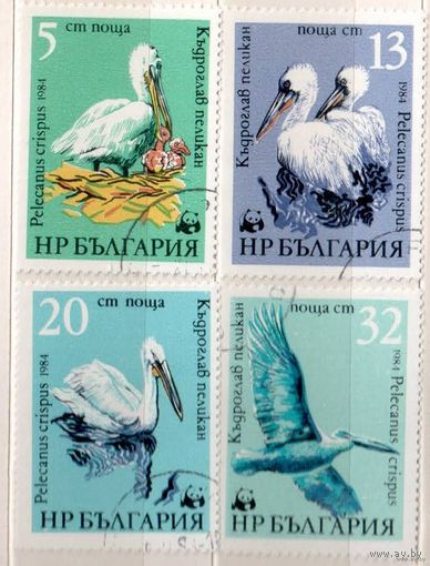 Пеликаны. 4 марки, 1984г.,гаш. Болгария.