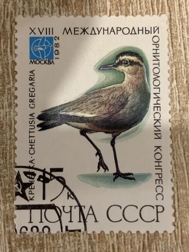 СССР 1982. Кречетка. Марка из серии