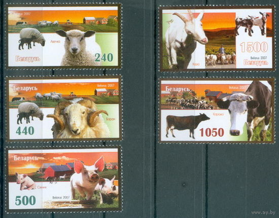 2007. 711-715. Домашний скот. **
