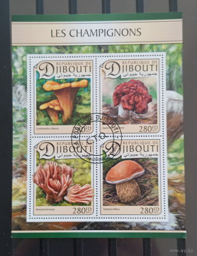 ЛИСТ ФЛОРА ЦВЕТЫ ГРИБЫ  СТО