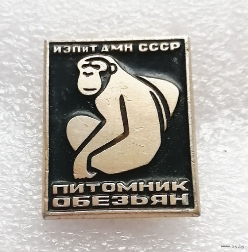 Питомник обезьян ИЭПиТ АМН СССР #1197-OP23