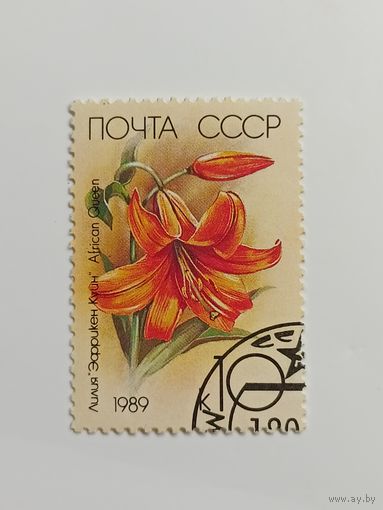 1989 СССР. Лилии
