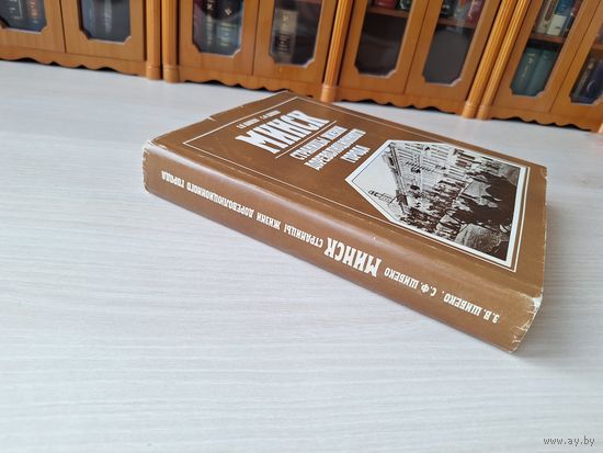 Минск - страницы жизни дореволюционного города - Шибеко - 1990 - Визитная карточка города, Горожане, Городская среда, Витрина городской жизни и др.
