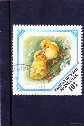 Монголия.Ми-1472.Цыплята (Gallus gallus domesticus). Серия: Молодые животные. 1982.