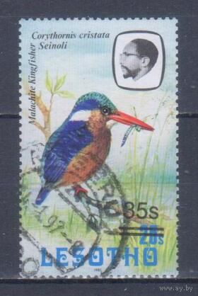 [1130] Лесото 1987. Фауна.Птицы.Зимородок. НАДПЕЧАТКА. Гашеная марка.