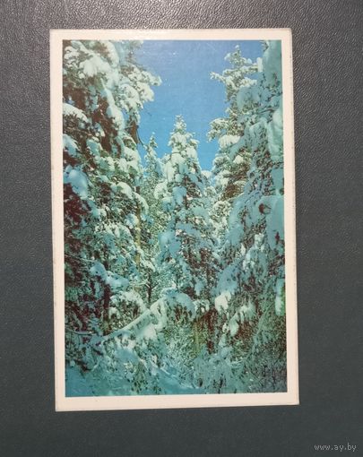 Открытка "Зимний пейзаж" фото Н.Гридина 1975г. чистая