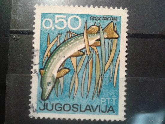 Югославия, 1967. Щука