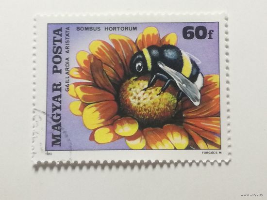 Венгрия 1980. Насекомые.