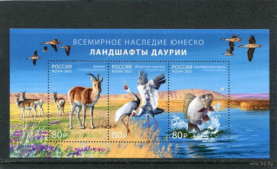 Россия 2025. Ландшафты Даурии. Блок