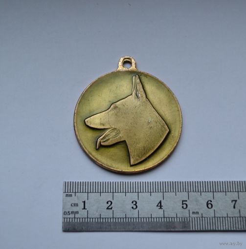 Медаль, жетон участника (смотр соревнование).