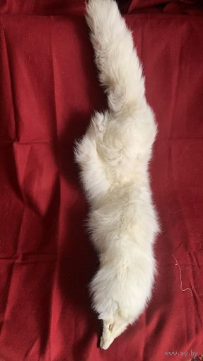 Мех северного песца белый, торг