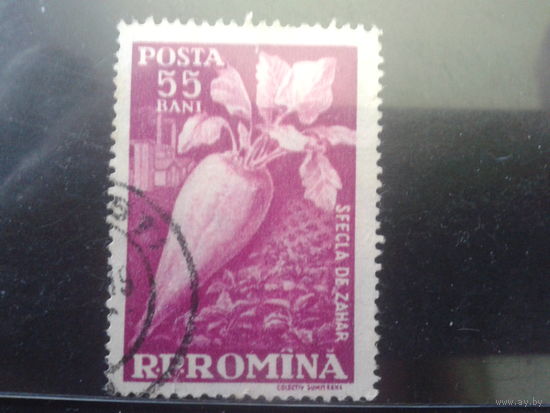 Румыния 1959 Сахарная свекла