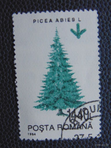 Румыния 1994 г. Флора.