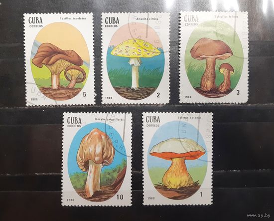 Куба. 1988 год. Флора. Грибы (гашеные и чистые марки) (952)