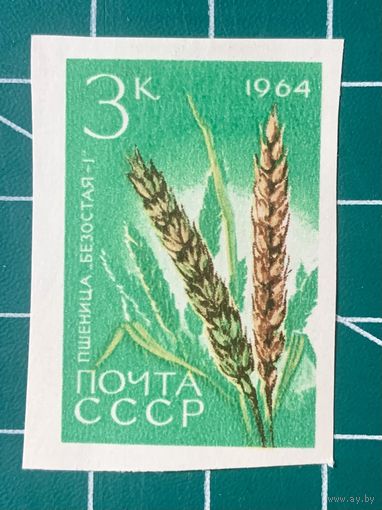 СССР 1964 Пшеница Безостая 1** из серии Сельскохозяйственные культуры. 487