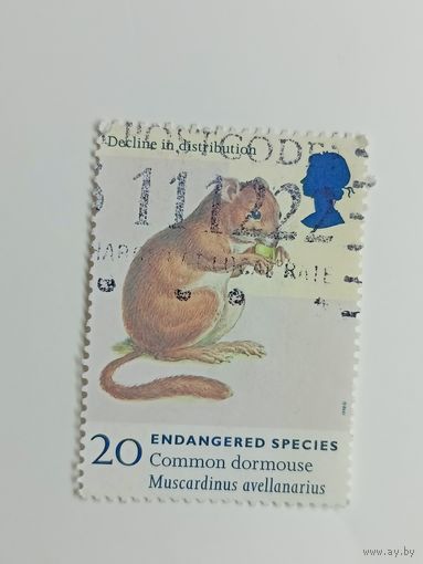 Великобритания 1998. Вымирающие виды