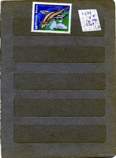 ПОЛЬША, 1979,  промысловые рыбы, сер 1м   **    чистая