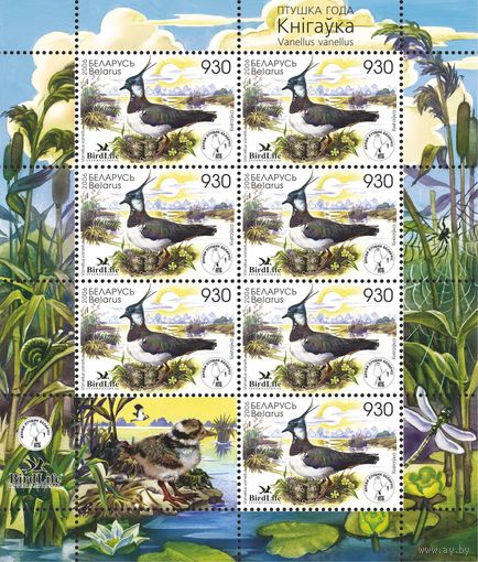 2006 БЕЛАРУСЬ   коллекционная марка Птица года.Чибис  MNH