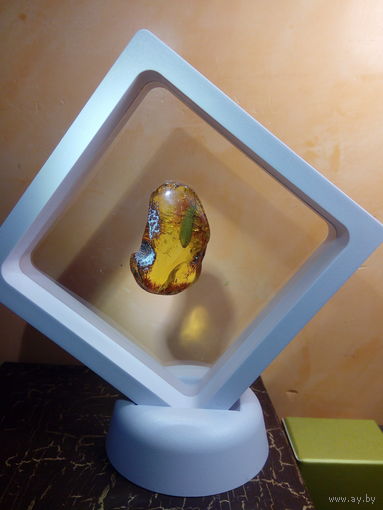 ИНКЛЮЗ -- ЖУК  в ЯНТАРЕ.ОГРОМНЫЙ!! .Редкий !!.  Музейный Уровень!. Вымершее насекомое!