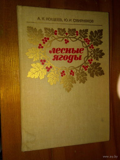 КОЩЕЕВ ЛЕСНЫЕ ЯГОДЫ