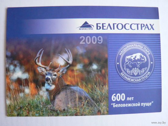 Календарик 2009 год