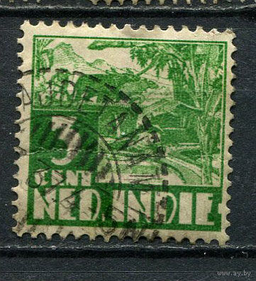 Нидерландская Индия - 1934 - Буйвол вспахивает рисовое поле 3C - [Mi.208] - 1 марка. Гашеная.  (Лот 50Gu)-T4P3