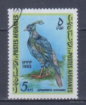 [1446] Афганистан 1965. Фауна.Птица.Фазан. Концовка серии.Гашеная марка. Кат.гаш.2,4 е.