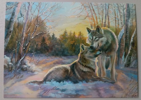 Волки. Юлия Неприятель. Авторская открытка, глянец