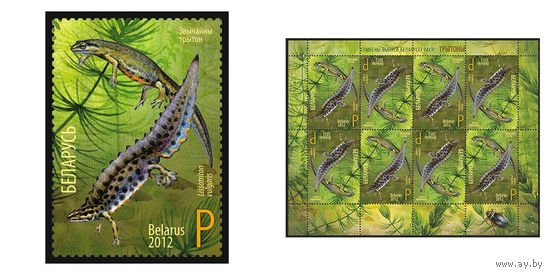 2012 БЕЛАРУСЬ марка или малый лист "Обыкновенный тритон" MNH